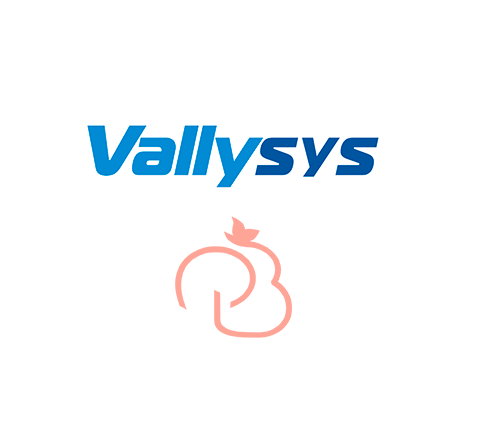 logo vallysys e paixao